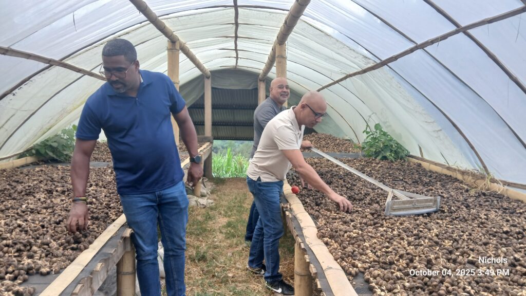Mi Brochy team sourcing quality products for Aruba